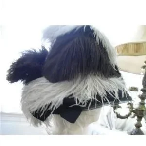 Accessories | Rare Victorian Ostrich Feather Hat Late 180s 
